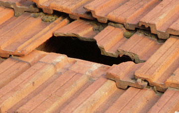 roof repair Great Ness, Shropshire